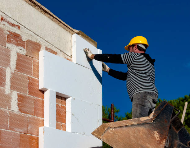 Best Spray Foam Insulation  in Mion, AR
