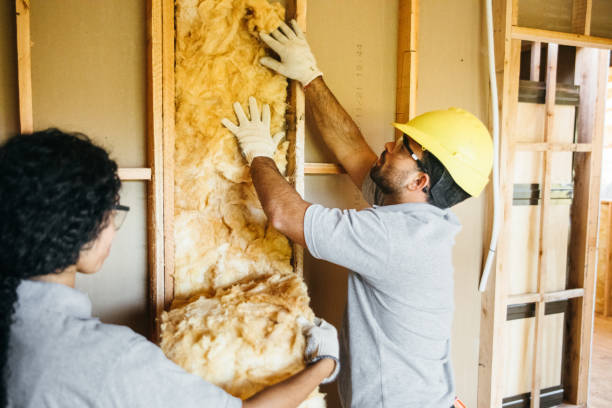 Best Insulation Installation Cost  in Mion, AR