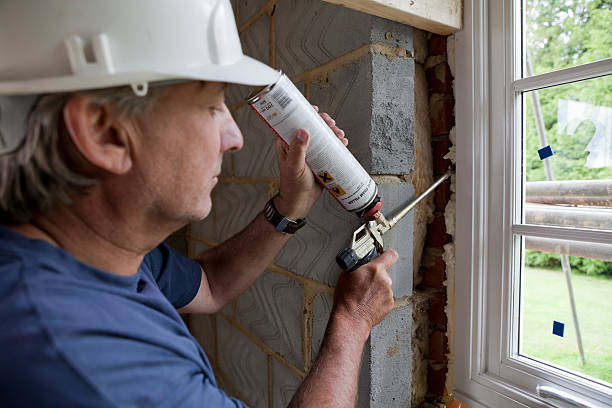 Best Insulation Removal  in Mion, AR