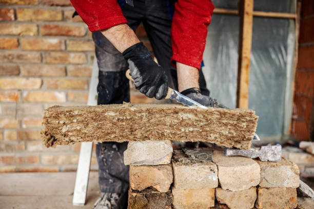 Best Insulation Contractors for Homes  in Mion, AR