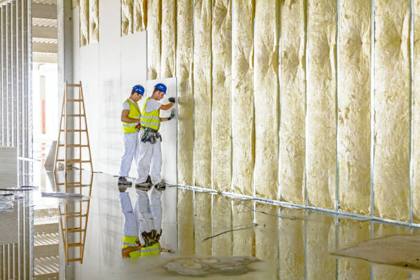Best Spray Foam Insulation  in Mion, AR